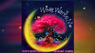 What Wants Me - S.I.A.T Stuck in a Tree x Moonlight Scorpio