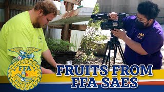 FFA TWILA Takeover -- Fruits from FFA SAEs