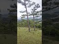 #dalat 27/08/2026