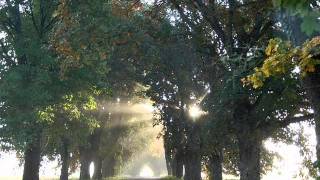 Reciter Abdulhadi Kanakeri | Rewayat Hafs A'n Assem | Surah_  Al'Imran