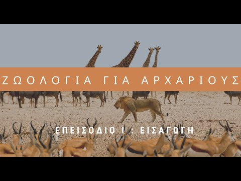 Βίντεο: Οι ζωολόγοι αμείβονται καλά;