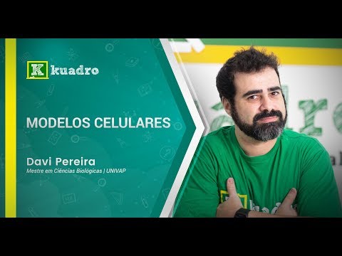 Vídeo: Papéis Da Fosfatidilserina Expostos No Envelope Viral E Na Membrana Celular Na Replicação Do HIV-1