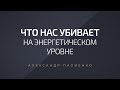 Что нас убивает на энергитическом уровне. Александр Палиенко.