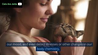 The Science Behind Why Your Cat Loves to Smell You! by Cats are Jerks 3 views 1 year ago 2 minutes, 11 seconds