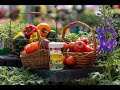 Covington's Flower &amp; Garden Fertilizer: A Little Sprinkle Gives You Extra Twinkle!