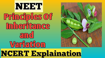 Principles of Inheritance & Variation Class 12 | Part1 | NCERT Explanation | Genetics Quick Revision