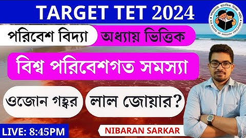 Red tide + ALGAL BLOOM | Environmental Science | Primary TET EVS Class 2024 | Nibaran Sir Maths