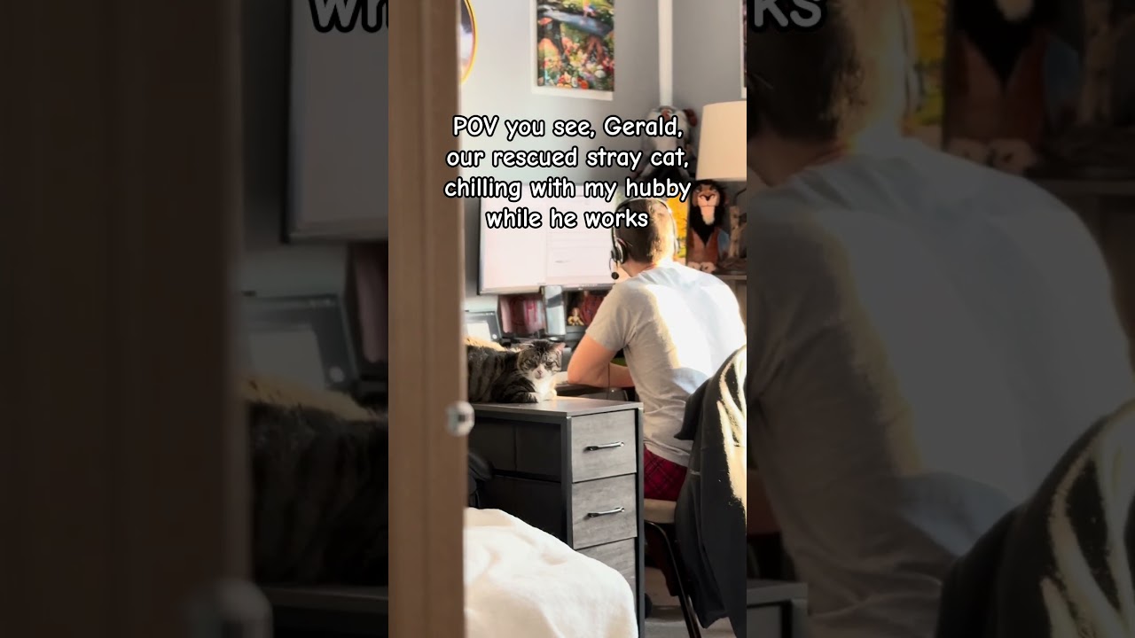 Best Work from home coworker 