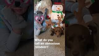 Reindeer Joke - Christmas Jokes for Kids