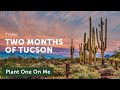 TWO MONTHS of TUCSON (Trailer) — Update
