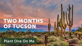 TWO MONTHS of TUCSON (Trailer) — Update