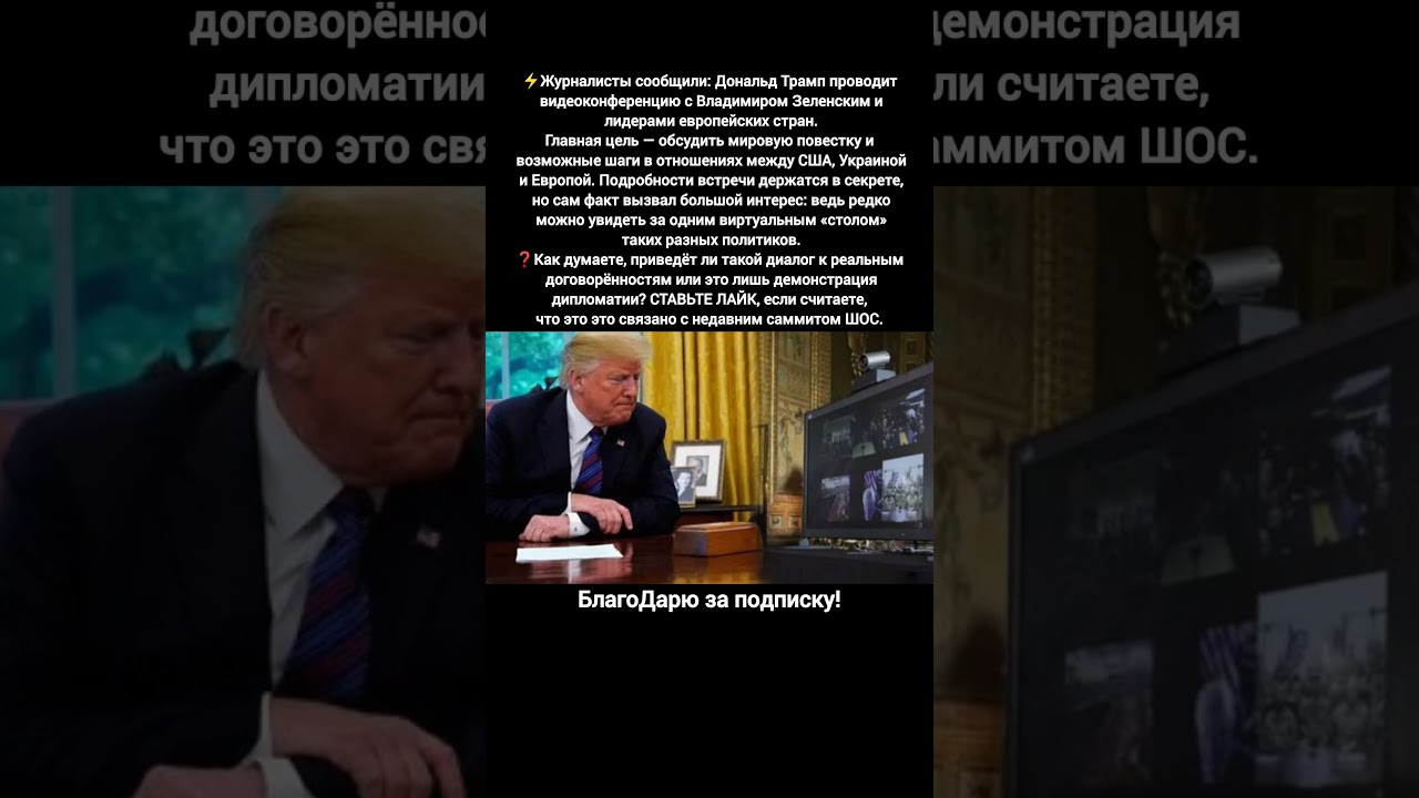 Трамп Зеленский европейские лидер видеоконференция США Украина Европа переговоры ШОС 