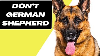 Famous 7 Things You Must NEVER Do To Your German Shepherd Net Worth