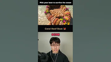 Pick Your Boat To Survive The Ocean 
