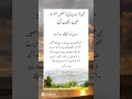 #youtubeshorts #islam #islamic #music