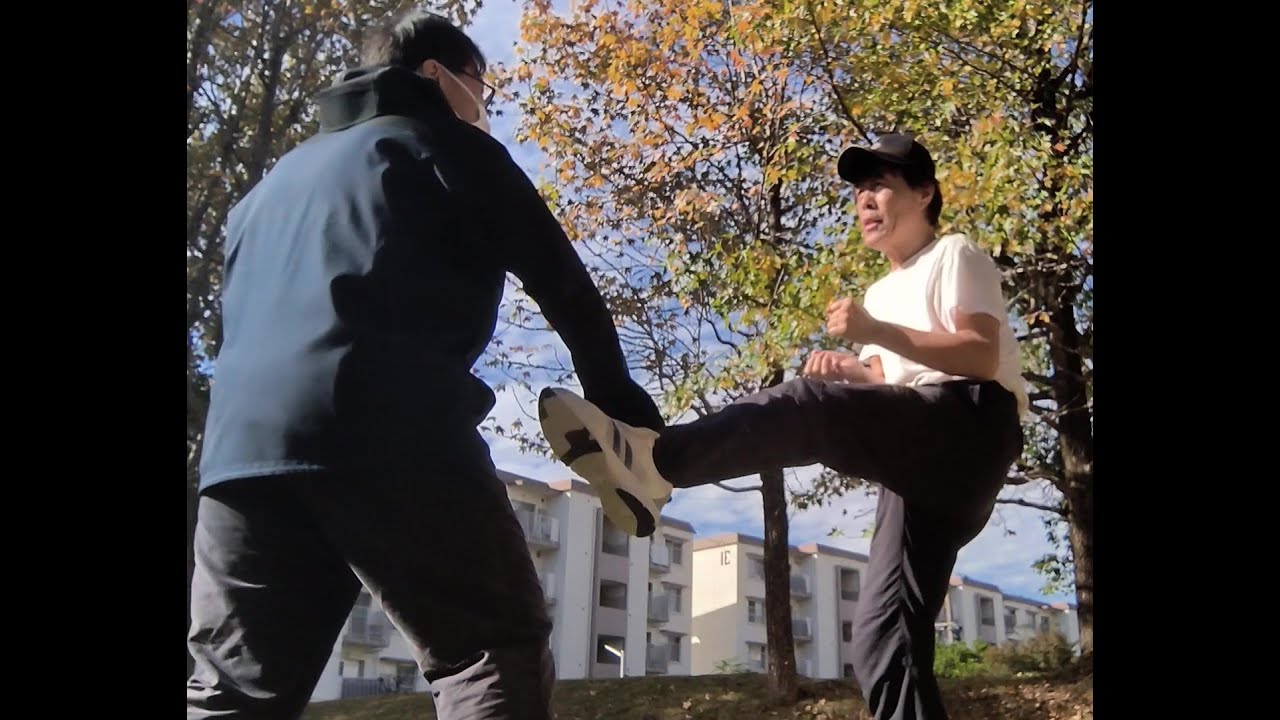 空手・拳法の稽古　211　　― 逆突き突っ込み　5　　Karate step by step training　　Deep reverse thrust 5