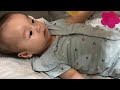 【R070816-03就寝前ライブ】#shortvideo #shorts #short #shortsvideo #赤ちゃん #baby #sayang #बच्चा #طفل #ที่รัก