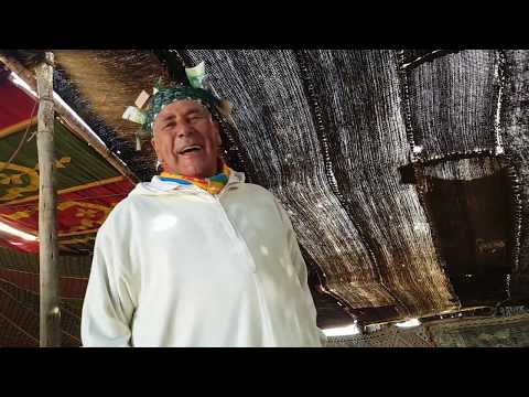 الاسد شيخ ميمون احناج Inhadn Chikh Mimoun Ahinaj 