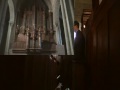 Capture de la vidéo Sergio Militello Plays Historical French Organ "Joyeuse-Cavaillé"