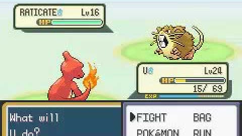 Pokemon Leaf Green 2:06:57 Speed Run Segment 13