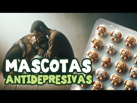 Mascotas contra la depresión 🐶💙 | KOMPATAS