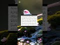 سورة فصلت / الشيخ خالد الجليل / تلاوة خاشعة تريح سمعك وقلبك