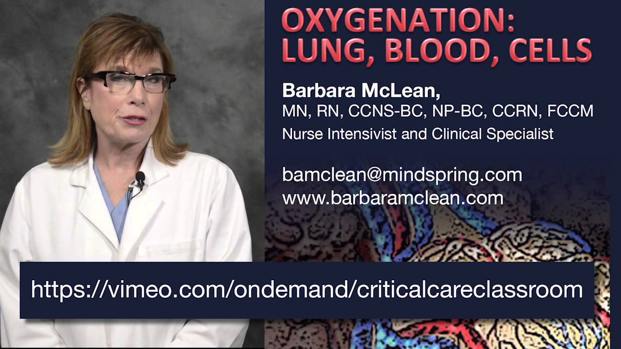 Critical Care  and Critical Patients: Complex Practice