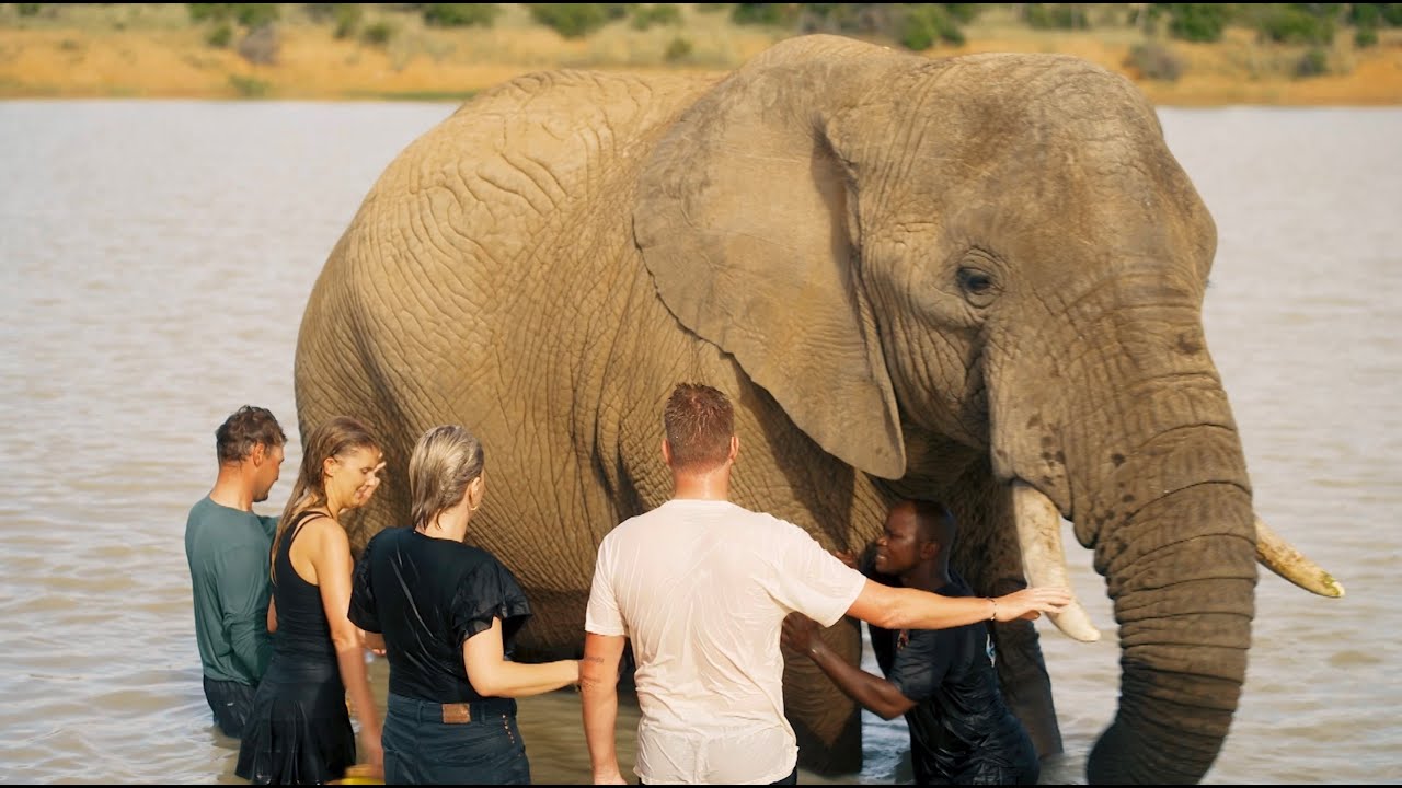 ZEBULA ELEPHANT SANCTUARY!! // SDC Open, South Africa