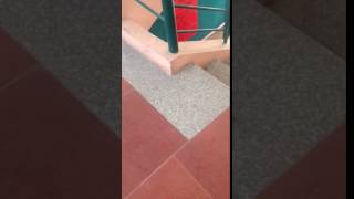 Trim Ee7085A9 66Fa 47Cb B4C0 13Dd3511C1D2