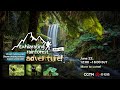 Live: Exhilarating rainforest adventure!