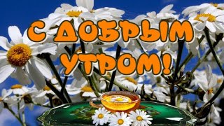 Доброе Утро 😃Желаю Прекрасного Дня 🥰 Чудесного Настроения 🎶Очень Красивая Музыка Андрея Обидина