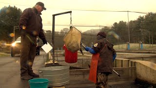 Tennessee Trout Release