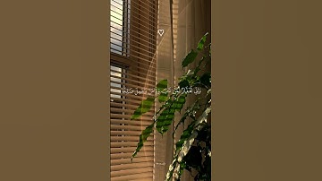 تلاوه من (سوره طه) بصوت القارئ عمر بن ضياء الدين 🤍 #ارح_قلبك #استغفر_الله #quran #سورة_طه #ﷺ