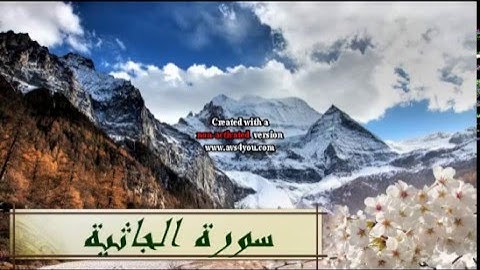 سورة الجاثية / اروع تلاوة على الاطلاق