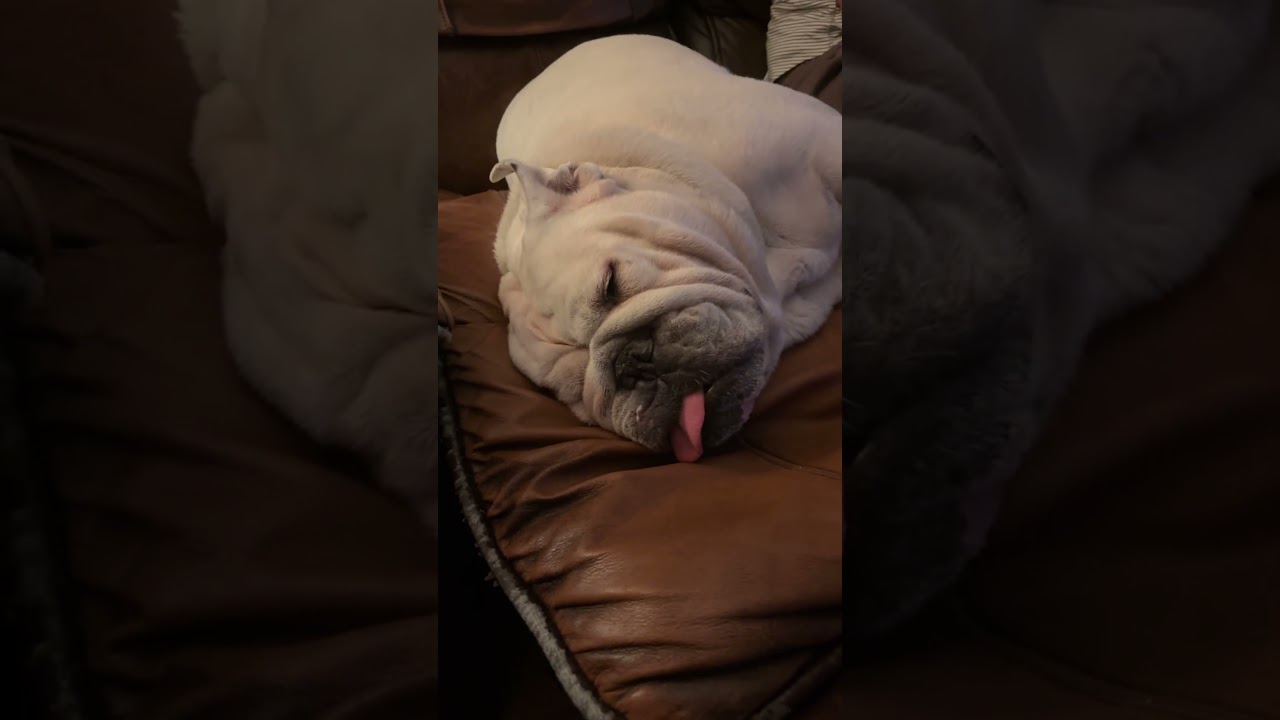 Любовь не слепа! 