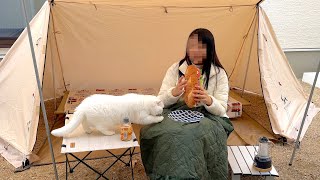 ENG) We camped on the courtyard for the first time and my cats came over! lol