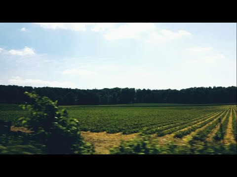 Old Experimental Guitar Recording (And Northern German Scenery)