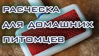 Расческа для домашних животных (кошек, собак, коз, овец) - Ай Да Посылка 63! Расческа для домашних животных (кошек, собак, коз, овец) - Ай Да Посылка 63!