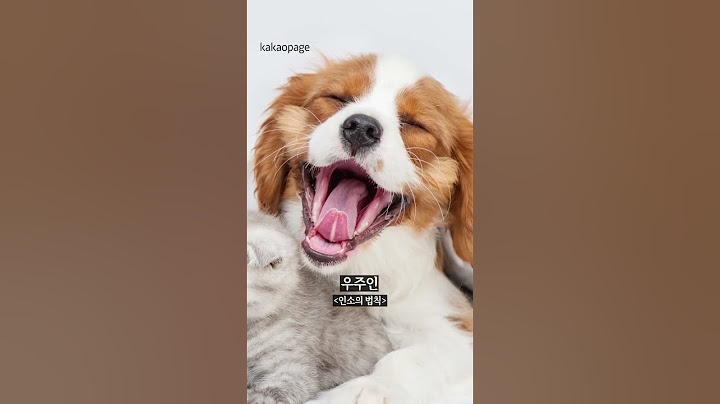 내 최애가 닮은 동물은? #인소의법칙 #집착서브남주를키웠습니다 #망나니PD아이돌로살아남기