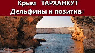 Крым Тарханкут. Дельфины и позитив! Не пропустите!