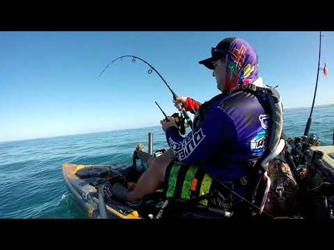 Pesca de Remora