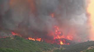 (1 aug 2018) in northern california, twin fires straddling mendocino
and lake counties have destroyed at least seven homes threatened an
estimated 12,000...