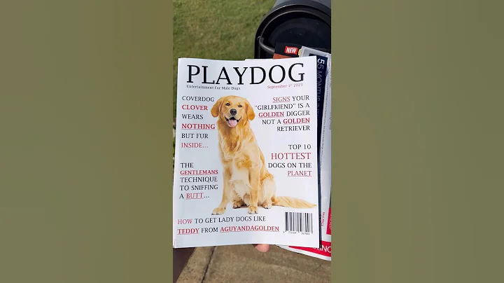 My dog thought he was sneaky!! #dog #goldenretriever