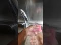 Dish washing 🧼 #restaurant #food #cafe #cooking #chef #kitchen #cleaning #pov #povcontent