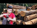 Exploiting the entire wood garden, loading the wood onto trucks to sell to traders