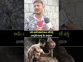 రామ్ చరణ్ సినిమాకి మంచి టాక్ వస్తే బాక్సాఫీస్ వసూళ్లు వేట చూస్తరుగా | Ram Charan | Peddi | CN