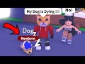 Stronk Cat Played Roblox Adopt Me For The First Time
