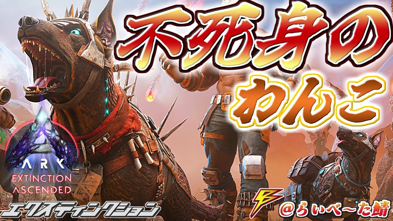 ARK:SA】不死身のワンコ！？アルマドッゴはコンパニオン Part2