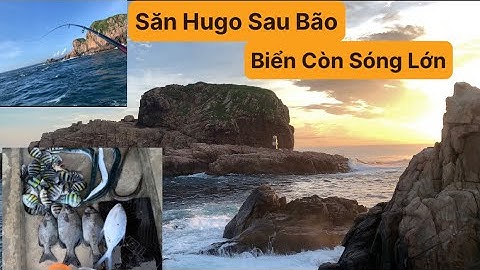 Câu Cá Biển Tự Nhiên, Câu Ghềnh, Câu iso. Cá Trang, Cá Nhái, Cá Thia, Cá Tà Ma. TÝ FISHING.