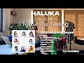 HALUKA 1st album 「Follow The Feeling」 トレーラー